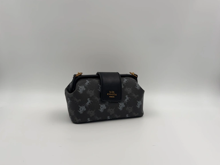 Coach Double Frame Bag 19 in Signature Canvas with Horse and Carriage Print.