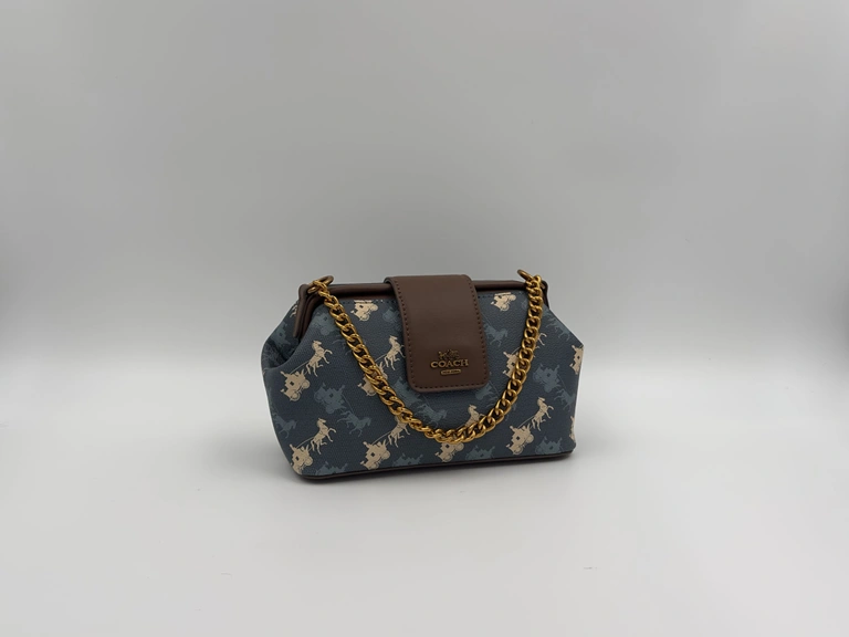 Coach Double Frame Bag 19 in Signature Canvas with Horse and Carriage Print.